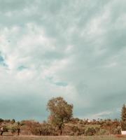 Ιάνα - Επιτάφειος