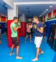 Μεικτές Μαχητικές Τέχνες