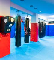 Μεικτές Μαχητικές Τέχνες