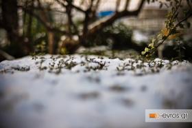 Το χιόνι πέφτει... το πετρέλαιο ανεβαίνει!