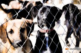 Οικονομική κρίση; Φαντάσου να μην είχες και σπίτι...