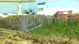 Φωτιά ξέσπασε σε αγροτεμάχιο στην E.O. Αλεξ/πολης - Φερών.