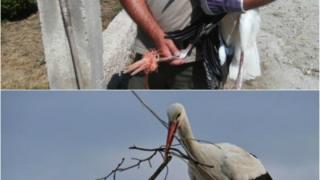 Διάσωση Πελαργού στις Φέρες, του Δήμου Αλεξανδρούπολης