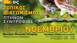 2ος Διαγωνισμός Πτηνών Συντροφιάς στην Αλεξανδρούπολη.