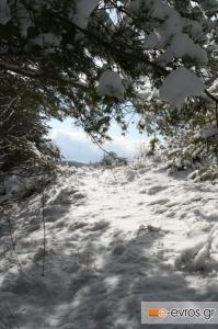 Στην κατάψυξη όλος ο Έβρος.