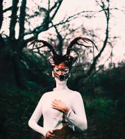 Φωτοπαθαμύθι - "Το πνεύμα του δάσους"