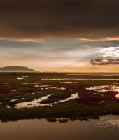 Evros nehrin Deltası