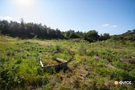 Ακίνητη μέσα στον Χρόνο