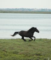 Evros Deltasına bir tur atalım.