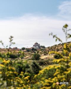 Ορθόδοξος ναός ανάμεσα στη φύση
