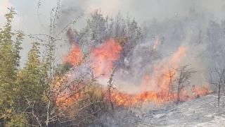 Πυρκαγιά σε δασική έκταση στη Λευκίμη Σουφλίου (video - φώτο)