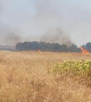 Ήδη στο σημείο βρίσκεται όχημα της πυροσβεστικής υπηρεσίας.