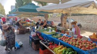 Ορεστιάδα: Η ίδρυση νέας λαϊκής αγοράς ένα από τα θέματα του επόμενου Δ.Σ.