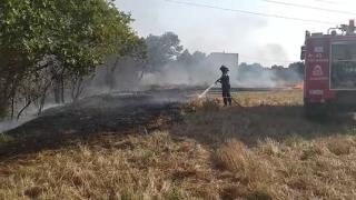 Φωτιά ξέσπασε στην περιοχή Άβαντος (video)