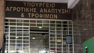 Και οι παραγωγοί των Καστανεών του δήμου Ορεστιάδας στη νέα επιχορήγηση de minimis 3,8 εκατ. ευρώ