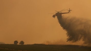 19χρονος Καναδός συνελήφθη για την φωτιά στη Λευκίμη 