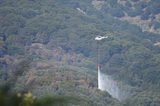 Η φωτογραφία είναι του Αντώνη Βαμβακόπουλου.