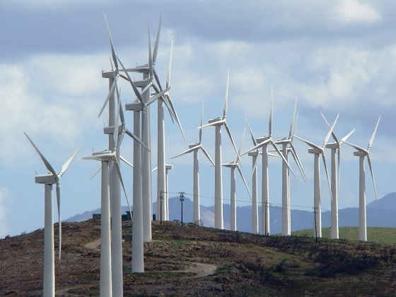 Αντιδράσεις για τα νέα αιολικά πάρκα στον Έβρο και τις πρακτικές των επενδυτών.