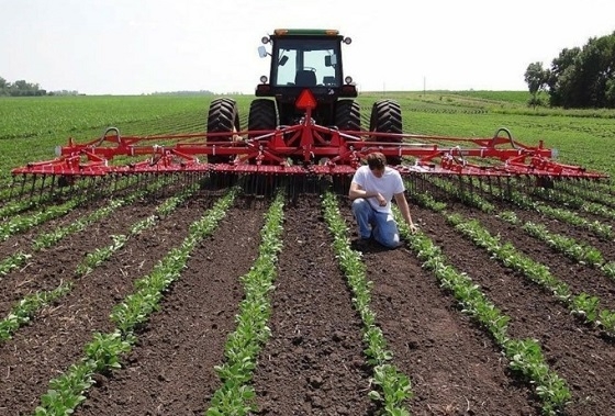 Προγράμματα κατάρτισης για όλους τους ενδιαφερόμενους αγρότες.