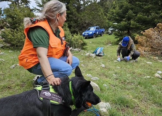 Η χρήση δηλητηριασμένων δολωμάτων αποτελεί μεγάλη απειλή για τη φύση.