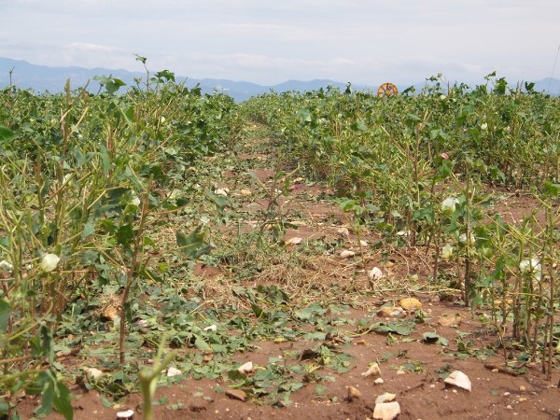 Προθεσμία υποβολής αιτήσεων μέχρι την Τρίτη 24 Μαρτίου.