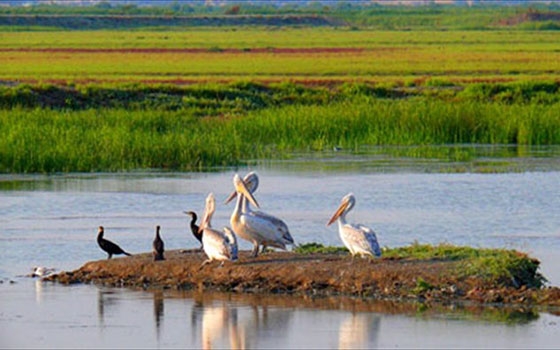 Έως το τέλος του χρόνου η λύση για τους φορείς διαχείρισης που κινδυνεύουν με λουκέτο