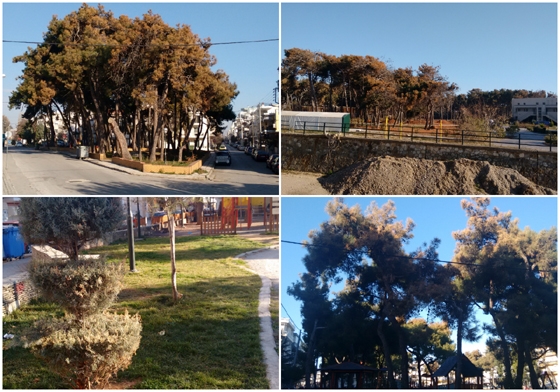 "Ξεραίνονται" τα πάρκα της Αλεξανδρούπολης