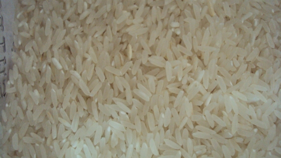 Φέρες: Πέντε χιλιάδες τόνοι ρύζι θα συγκομιστούν φέτος, στόχος η δημιουργία προϊόντος με ονομασία προέλευσης