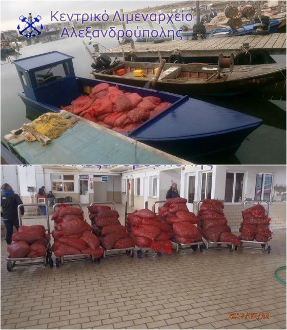 Κατασχέθηκαν 126 σάκοι με ακατάλληλα για κατανάλωση όστρακα, στην Αλεξανδρούπολη