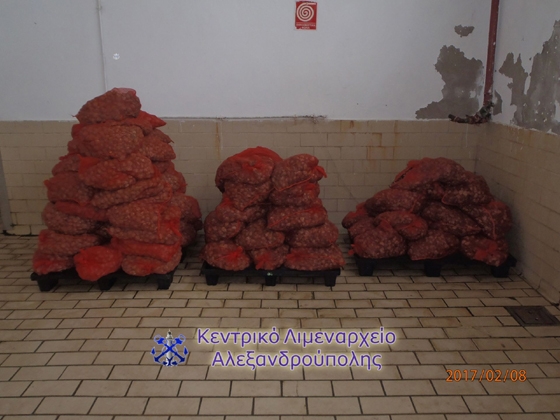 97 σάκοι με όστρακα του είδους ''αχιβάδα'' και “κυδώνι”.