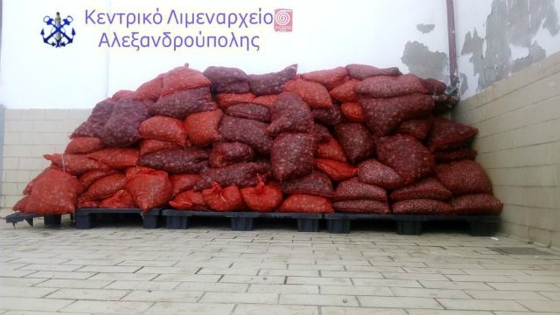 Αλεξανδρούπολη: Συνεχίζονται οι κατασχέσεις ακατάλληλων οστράκων (φωτο)