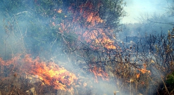 Φωτο αρχείου