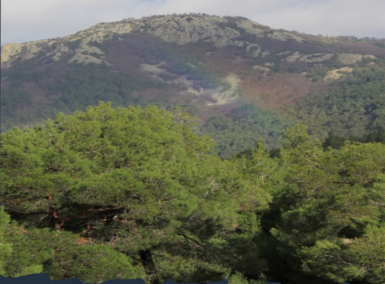 Έβρος: "Τη στιγμή που έπειτα από 2,5 ώρες πεζοπορία φτάσαμε στην κορυφή της Γκίμπρενας δεν θα την ξεχάσω ποτέ"