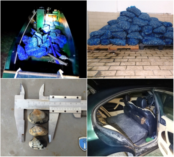 Αλεξανδρούπολη: Κατασχέθηκαν 1.140 κιλά ακατάλληλα όστρακα - Συνελήφθησαν 5 άτομα