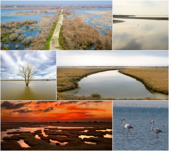 Αφιέρωμα στον μεγαλοπρεπή Έβρο και το δαιδαλώδες δέλτα του