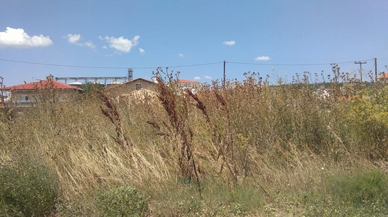 Τα χειρότερα θέλει να προλάβει η Αντιδημαρχία Φερών