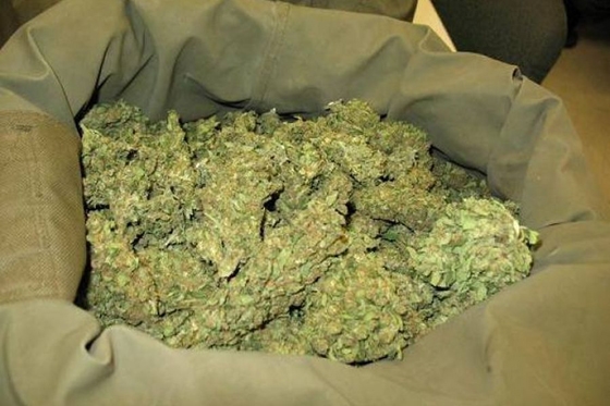 Κολοσσιαία ποσότητα ινδικής κάνναβης εντοπίστηκε στην Αλεξανδρούπολη  