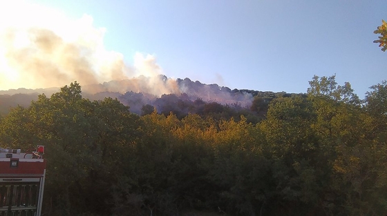 Το σημείο όπου εκδηλώθηκε η φωτιά 