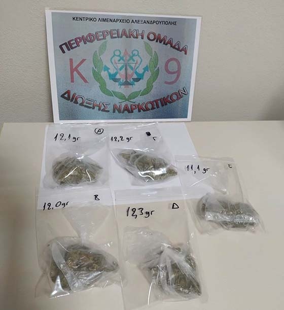 Αλεξανδρούπολη: Ο σκύλος Κ-9 «Δίας» μύρισε τα ναρκωτικά - Συνελήφθη 39χρονος