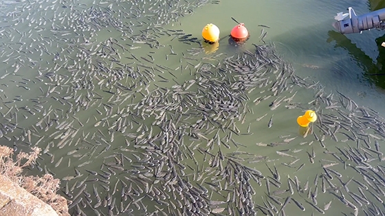 Στιγμιότυπο από σήμερα στο λιμάνι