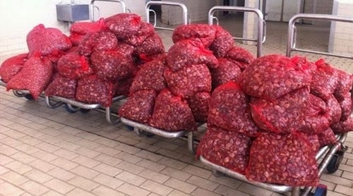 φωτογραφία αρχείου