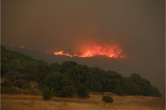  Τα δύο ισχυρότερα πύρινα μέτωπα εντοπίζονται στην περιοχή Μουκάντες-Κοτρωνιά και δυτικά του Προβατώνα, κοντά στο κέντρο του νομού. 