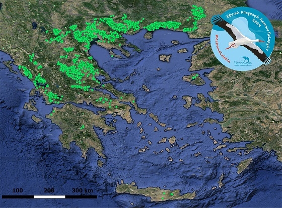 Κυρίως στην κεντρική και τη βόρεια Ελλάδα καταγράφονται οι λευκοί πελαργοί.