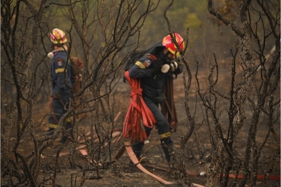 Η προσφορά των Ελλήνων πυροσβεστών αποτυπώθηκε με συγκλονιστικό τρόπο το καλοκαίρι του 2023 στον Έβρο.