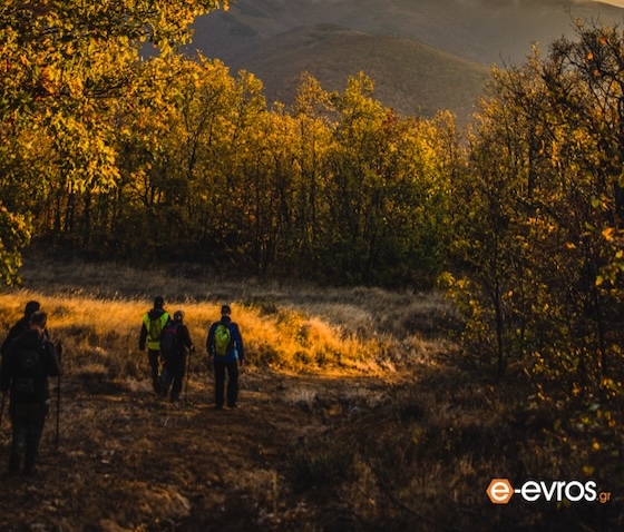 Το έργο περιλαμβάνει τη χάραξη, σήμανση και ανάδειξη επτά (7) νέων μονοπατιών συνολικού μήκους 30.419 μ.