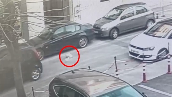 Κάμερα ασφαλείας κατέγραψε πέταγμα σκουπιδιών από διερχόμενο αυτοκίνητο στην Αλεξανδρούπολη.