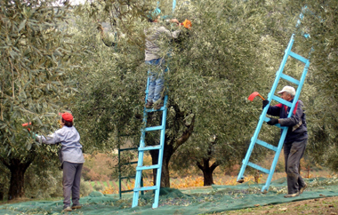 Συνάντηση την Τρίτη 25-02-2014 και ώρα 18:30 μ.μ στη Μάκρη.