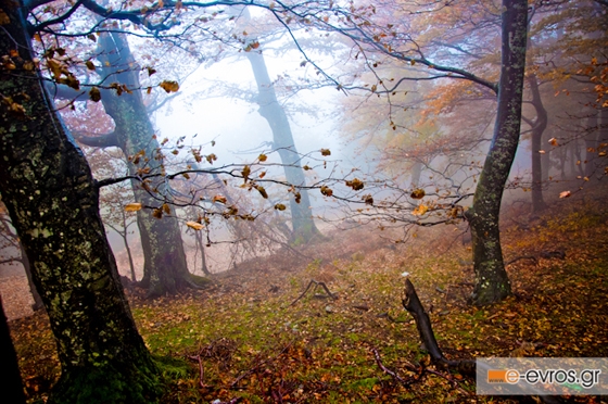 Φθινοπωρινή ισημερία 2023: Πότε έρχεται επίσημα το Φθινόπωρο