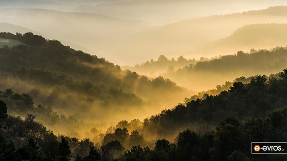 202 θέσεις δασολόγων και δασοπόνων – Θέσεις και στον Έβρο
