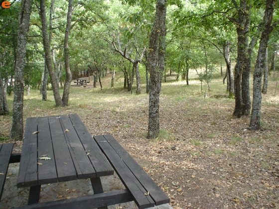 Δάσος Δαδιάς: Το πρόγραμμα WWF Impact Ventures for Greece για πρώτη φορά στην Ελλάδα!